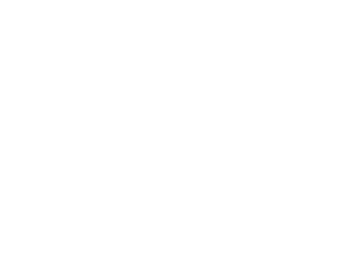 Mega Home